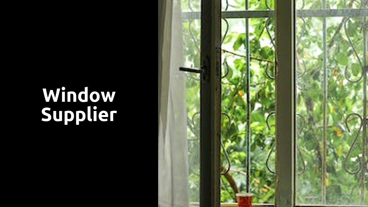 Window Supplier